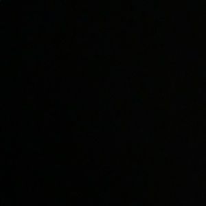 Meet your Posher, Peyton